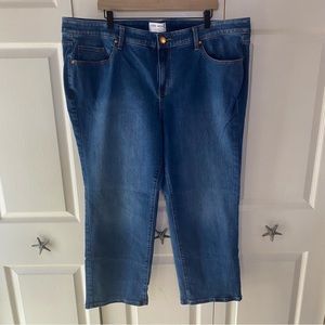 Lane Bryant Jeans 24P